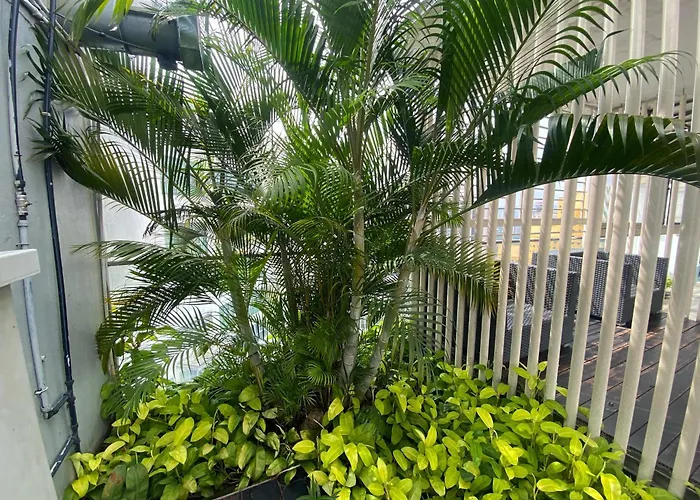 Skypool Kl Free Infinity Pool Over Kuala Lumpur